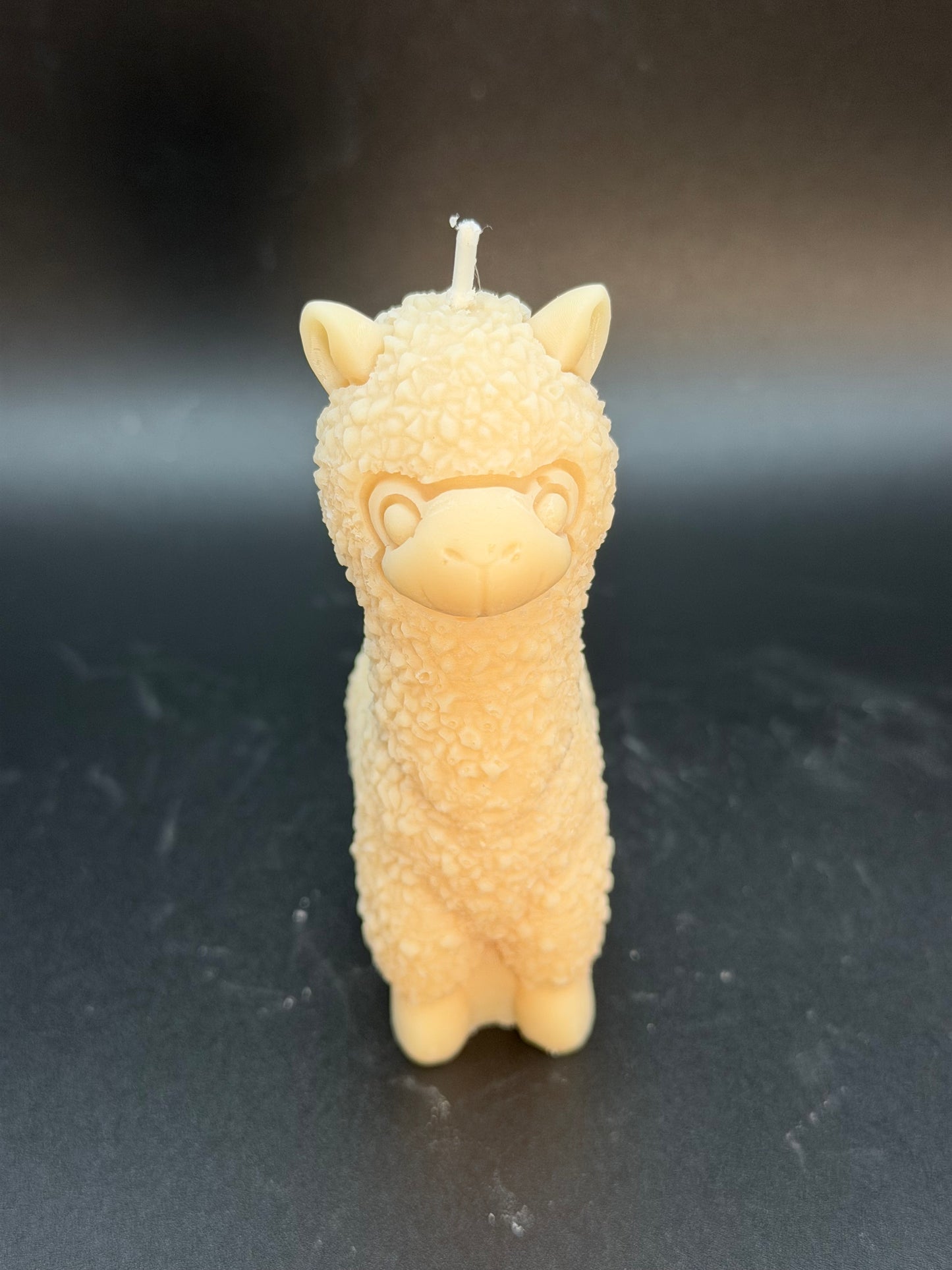 Dein Alpakakumpel - Kürbis-Zimt Duftkerze