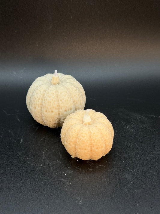 Kürbisduo mit Kürbis-Zimt-Duft